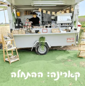 קארינה עגלת קפה | karynmilrod