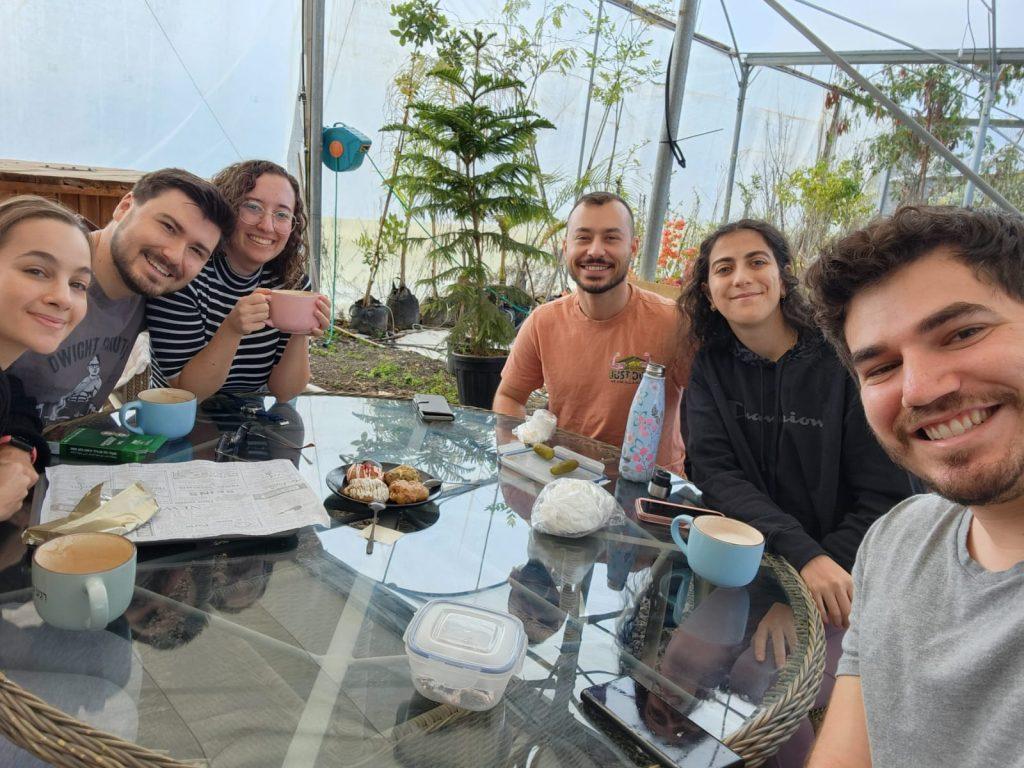 חוות דעת עגלת קפה מנטרה