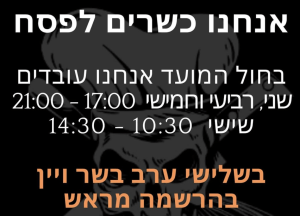 מינצי פסח