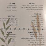 aba_adama_caffe