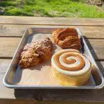 shoshke_coffee_garden