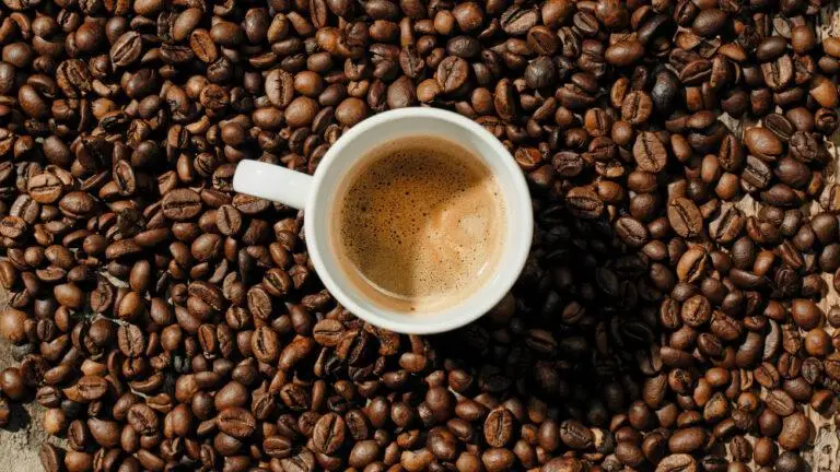 ערים שחובה לבקר בהן לחובבי קפה