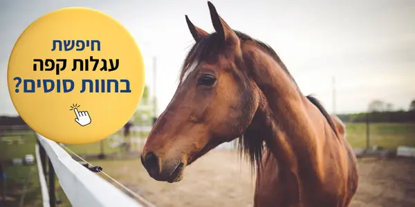 עגלות קפה חוות סוסים