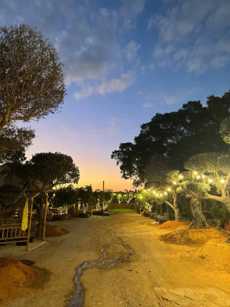 גרין ווי קפה - Green-way cafe