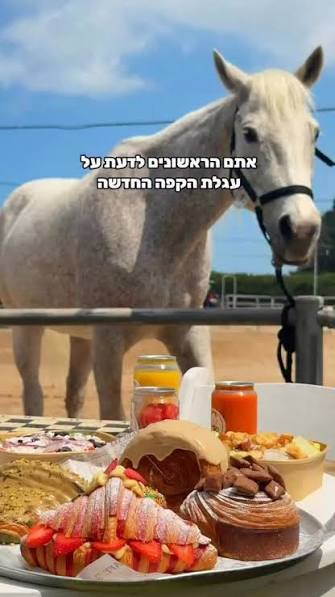 רודאו קפה